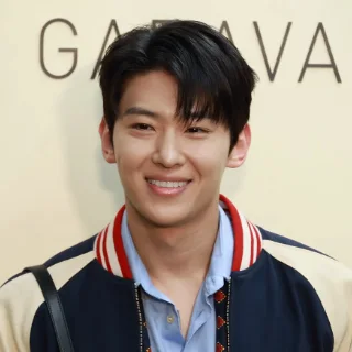 덱스