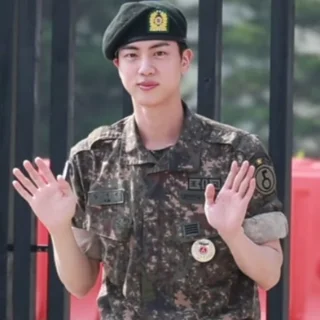 진