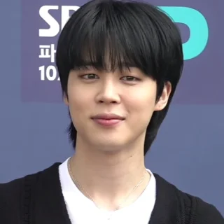 지민